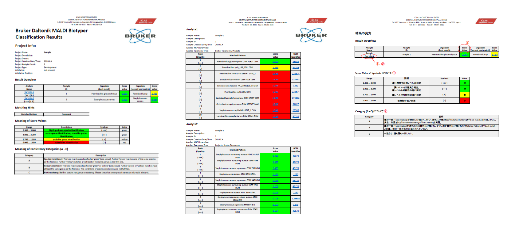 Standard MALDI Biotyper report format