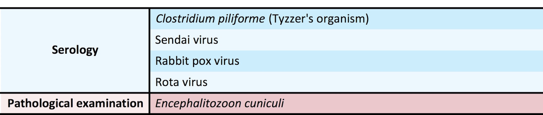 Microbiological monitoring test item for rabbits (optional items)