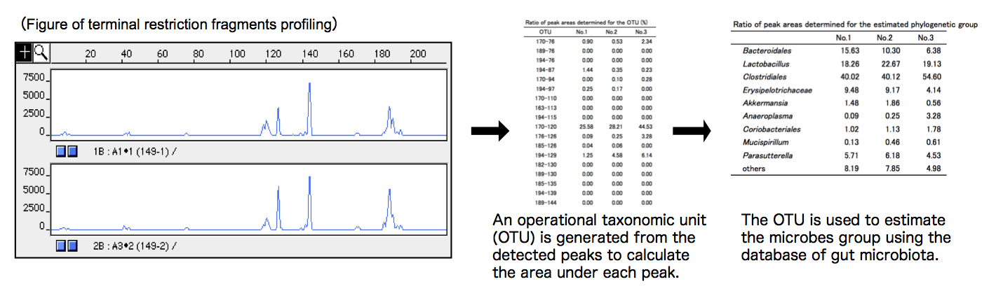 Figure of terminal restriction fragments profiling,Ratio of peak areas determined for the OTU and estimated phylogenetic groups