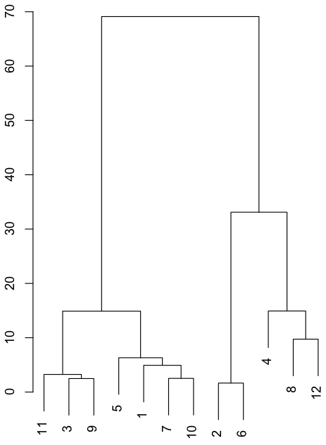 cluster analysis