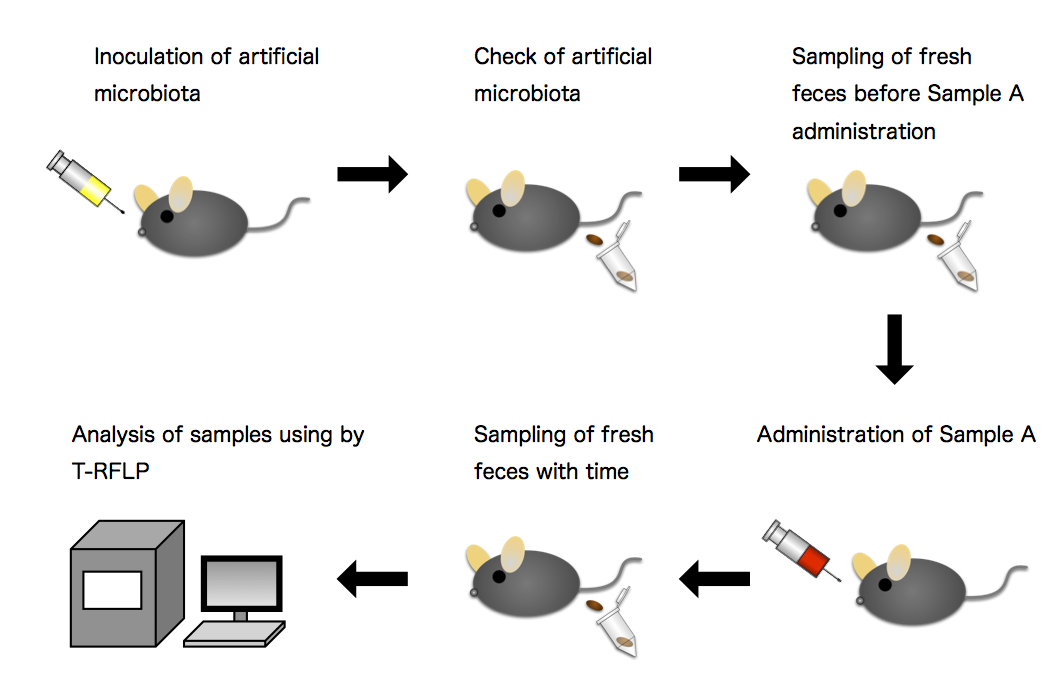 Example of contract research services