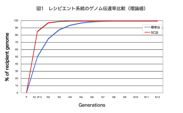 レシピエント系統のゲノム伝達率比較 (理論値)