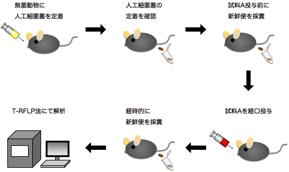 受託試験サービス例